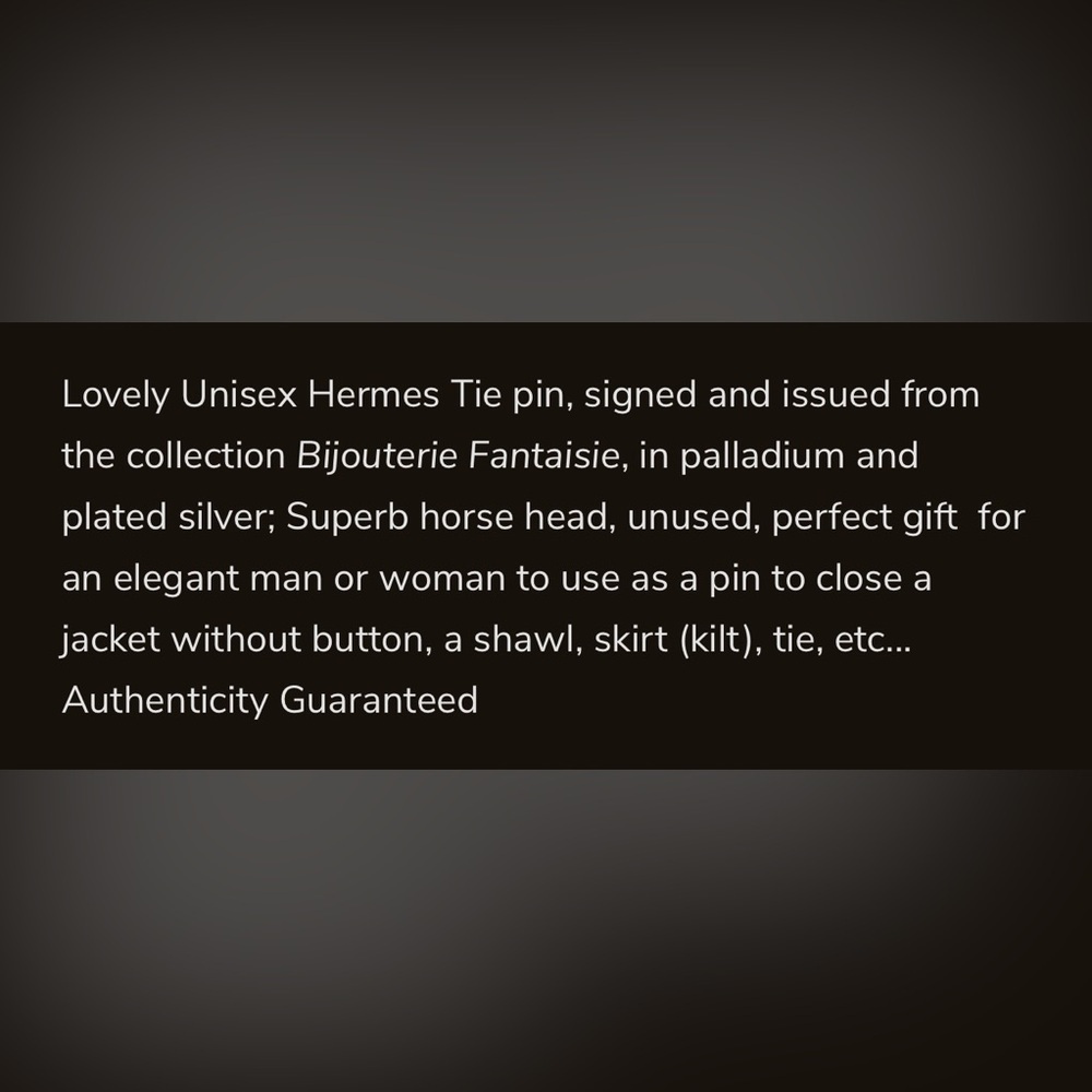 Hermès Horse Head Stick Pin - Picture 4 of 4